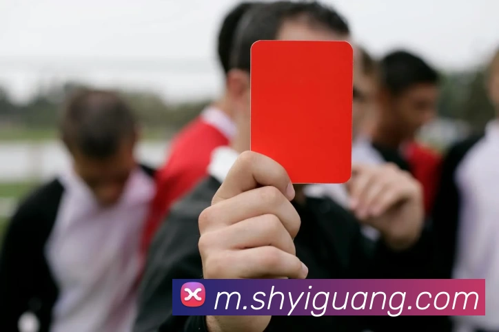 奖项3